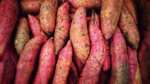 7 Evidence-Informed Reasons Sweet Potatoes Deserve a Place in a Balanced Diet